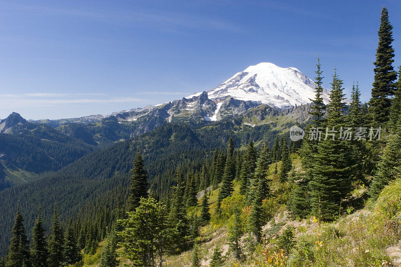 来自Naches Peak Trail的雷尼尔山